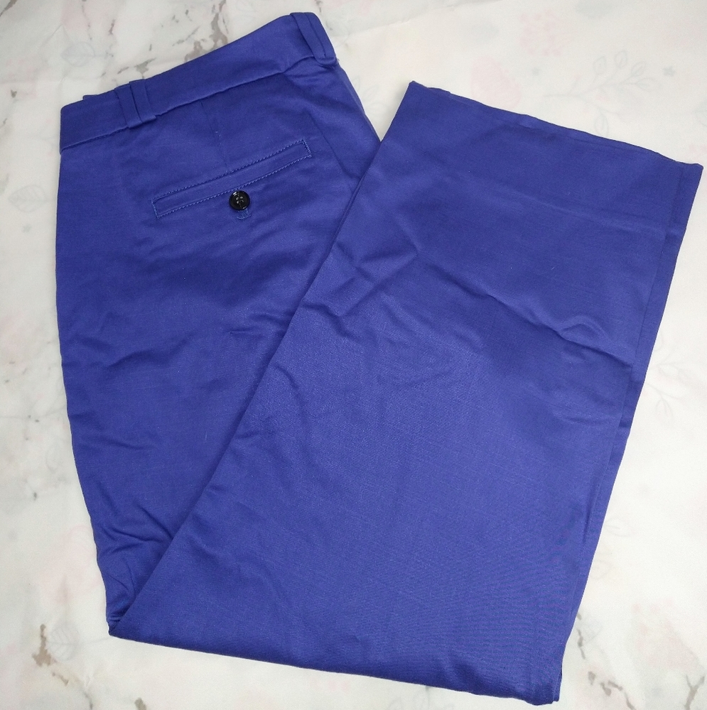 NWOT Banana Republic blue pants 8S